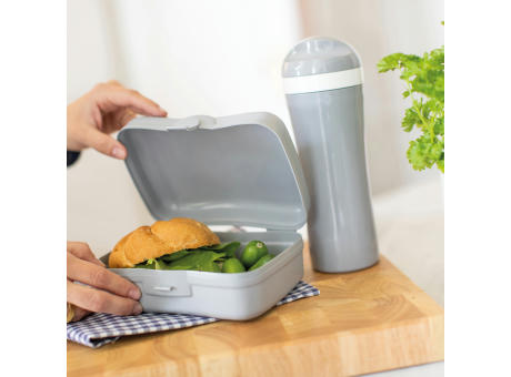 BASIC Lunchbox