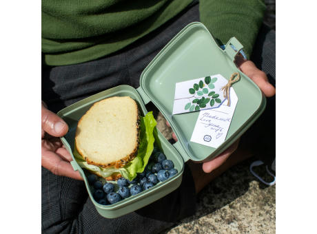 BASIC Lunchbox