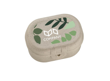 PASCAL MINI Lunchbox