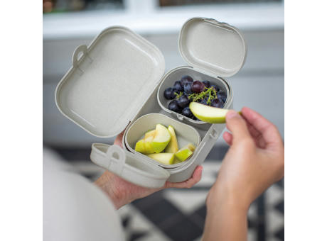 PASCAL MINI Lunchbox