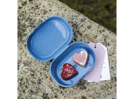 PASCAL MINI Lunchbox
