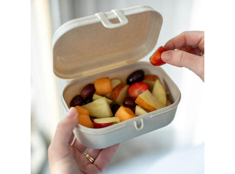 PASCAL S Lunchbox