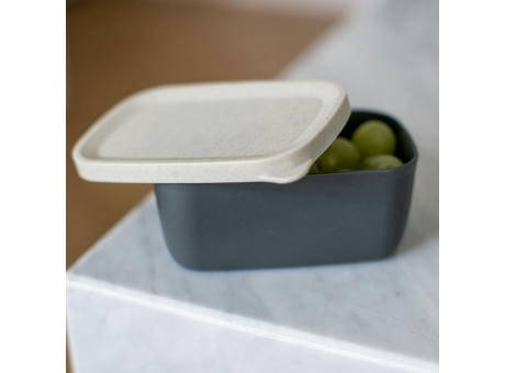 CANDY S Liquid Safe Box