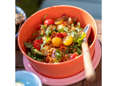 Koziol NORA BOX 1,3l Schale 1,3l mit Deckel