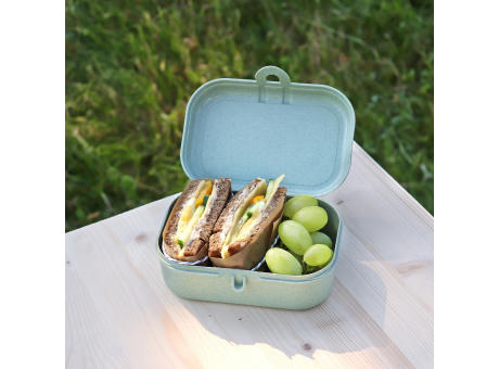 KOZIOL PASCAL S Lunchbox