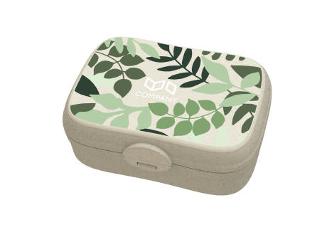 KOZIOL ARENA Lunchbox mit Trennsteg