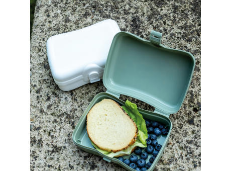 KOZIOL BASIC Lunchbox