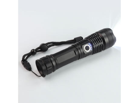 LED Leuchte Torchy 1.000