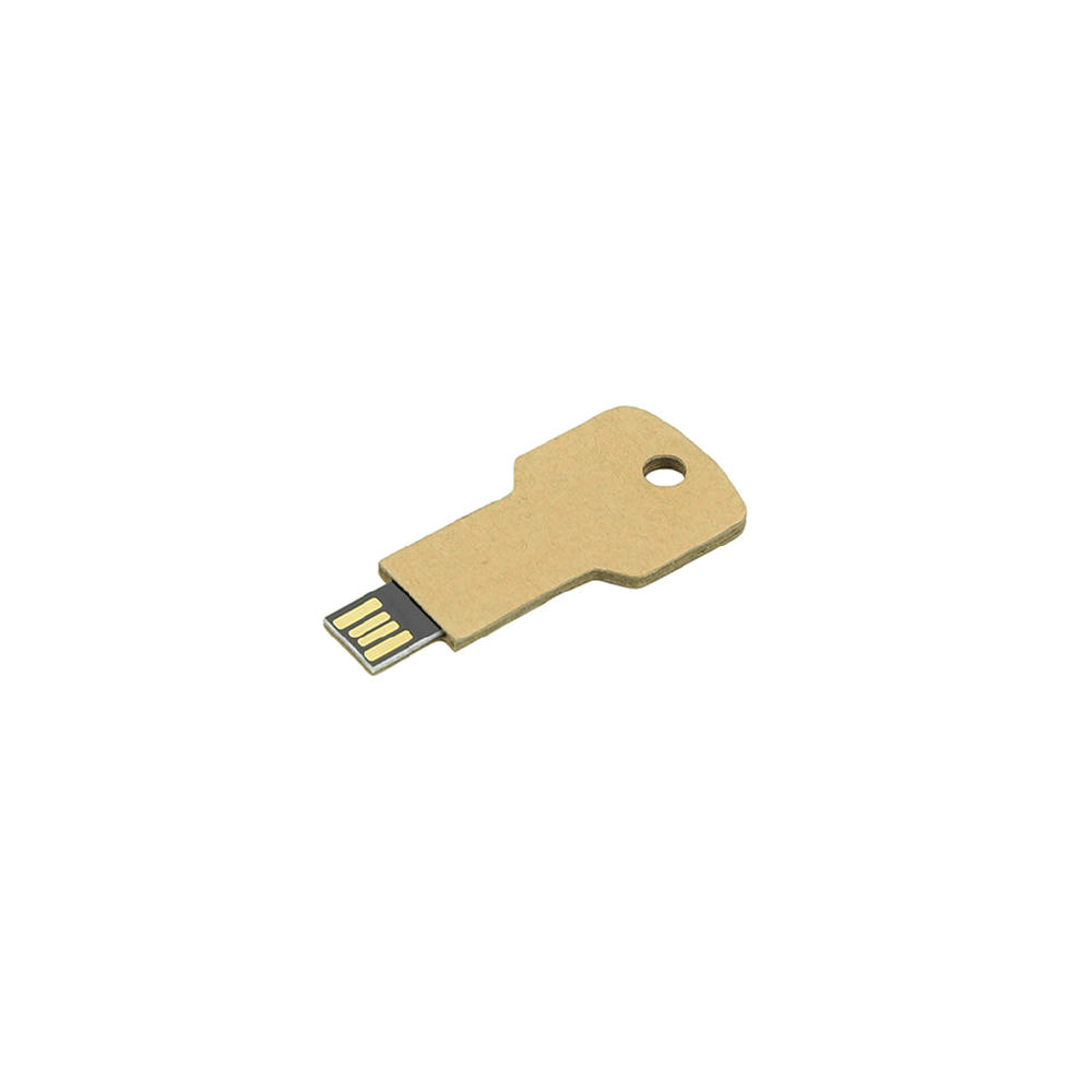 USB Stick Greencard key