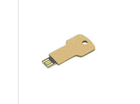 USB Stick Greencard key