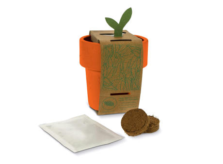 Hot-but-cool Tasse mit Erdbeersamen