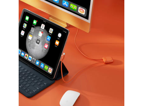 Xoopar Ice-C Charging cable