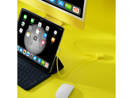 Xoopar Ice-C Charging cable