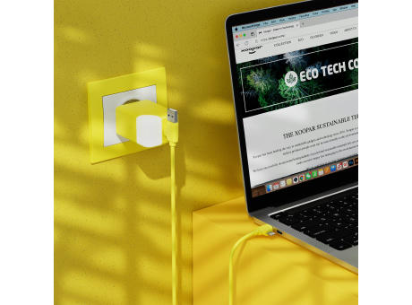 Xoopar Ice-G 65W GaN Netzadapter
