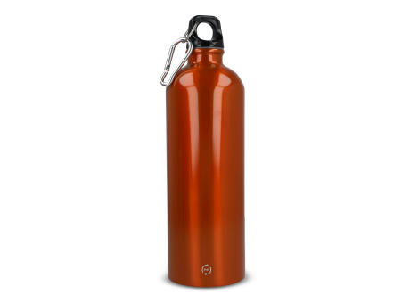 R-Edelstahl einwandige Flasche mit Karabiner 750ml