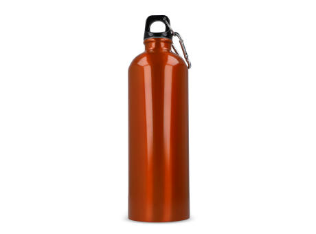 R-Edelstahl einwandige Flasche mit Karabiner 750ml