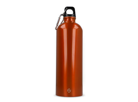 R-Edelstahl einwandige Flasche mit Karabiner 750ml