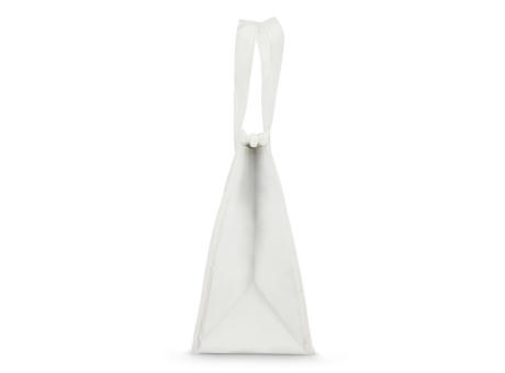 R-PET Kühltasche Non Woven 23x 15 x 27,5cm 75g/m²