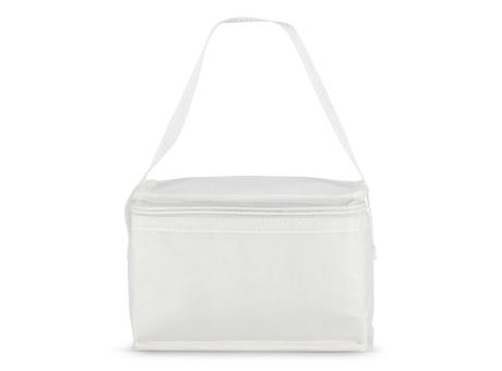R-PET 6 Dosen-Kühltasche Non Woven 20x 13 x 12,5cm 75g/m²