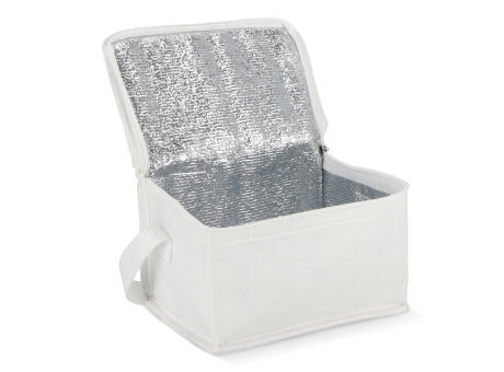 R-PET 6 Dosen-Kühltasche Non Woven 20x 13 x 12,5cm 75g/m²