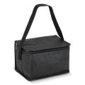 R-PET 6 Dosen-Kühltasche Non Woven 20x 13 x 12,5cm 75g/m²
