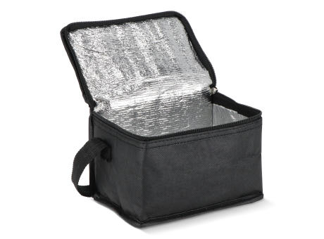 R-PET 6 Dosen-Kühltasche Non Woven 20x 13 x 12,5cm 75g/m²