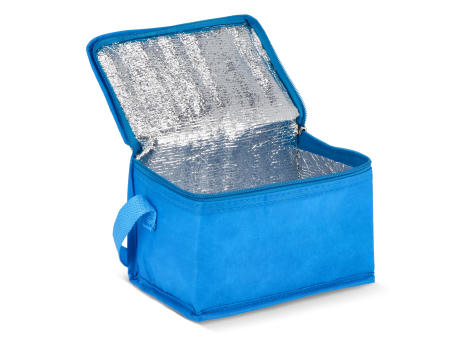 R-PET 6 Dosen-Kühltasche Non Woven 20x 13 x 12,5cm 75g/m²