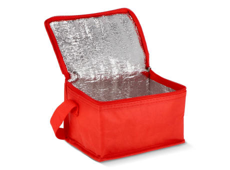 R-PET 6 Dosen-Kühltasche Non Woven 20x 13 x 12,5cm 75g/m²