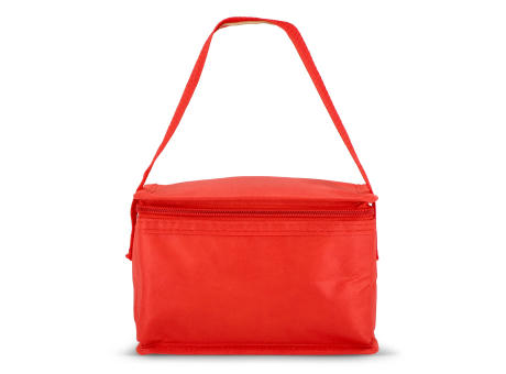 R-PET 6 Dosen-Kühltasche Non Woven 20x 13 x 12,5cm 75g/m²