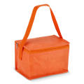 R-PET 6 Dosen-Kühltasche Non Woven 20x 13 x 12,5cm 75g/m²
