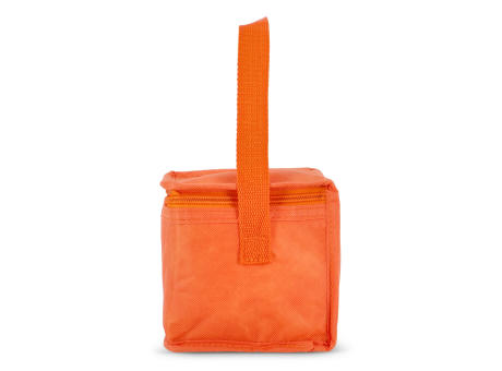 R-PET 6 Dosen-Kühltasche Non Woven 20x 13 x 12,5cm 75g/m²