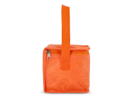 R-PET 6 Dosen-Kühltasche Non Woven 20x 13 x 12,5cm 75g/m²