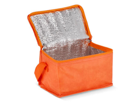 R-PET 6 Dosen-Kühltasche Non Woven 20x 13 x 12,5cm 75g/m²