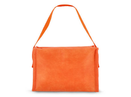 R-PET 6 Dosen-Kühltasche Non Woven 20x 13 x 12,5cm 75g/m²