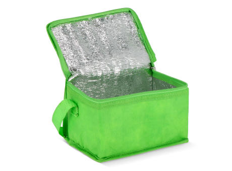 R-PET 6 Dosen-Kühltasche Non Woven 20x 13 x 12,5cm 75g/m²
