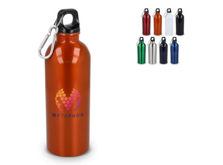 R-Edelstahl einwandige Flasche mit Karabiner 500 ml
