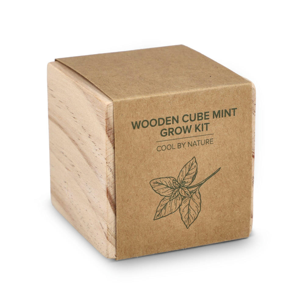 FSC-Holzpflanzgefäß-Set – Mint