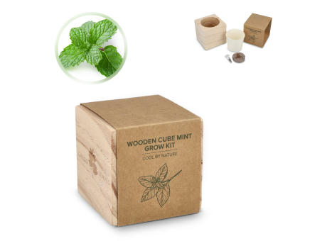 FSC-Holzpflanzgefäß-Set – Mint