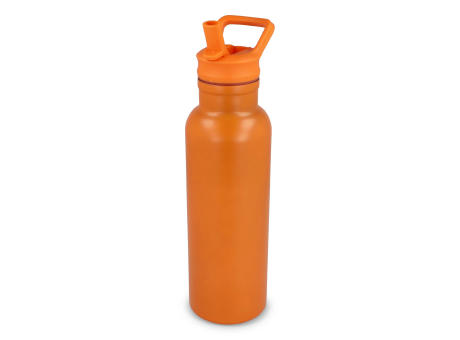 Dario Isolierflasche 500 ml