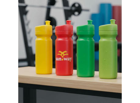 Sportflasche Design 750ml
