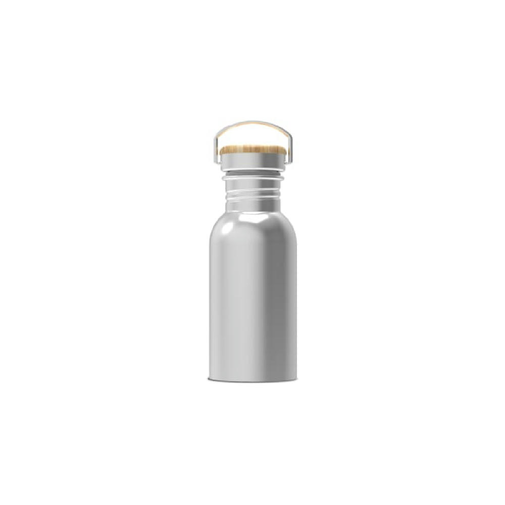 Wasserflasche Ashton 500ml