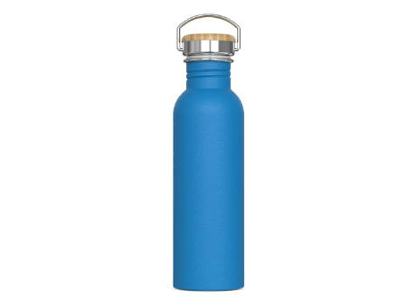 Wasserflasche Ashton 750ml
