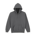 Sudadera con capucha HeavyBlend Adulto