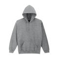 Sudadera con capucha HeavyBlend Adulto