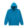 Sudadera con capucha HeavyBlend Adulto
