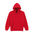 Sudadera con capucha HeavyBlend Adulto