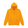 Sudadera con capucha HeavyBlend Adulto