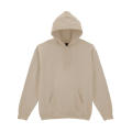 Sudadera con capucha HeavyBlend Adulto