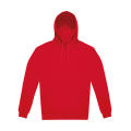 Sudadera con Capucha ID.223
