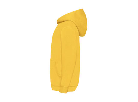 Sudadera capucha niño
